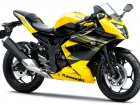 Kawasaki Ninja 250RR Mono / SL 250 Ninja